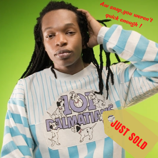 "101 DALMATIONS" BLUE AND WHITE STRIPED PULLOVER