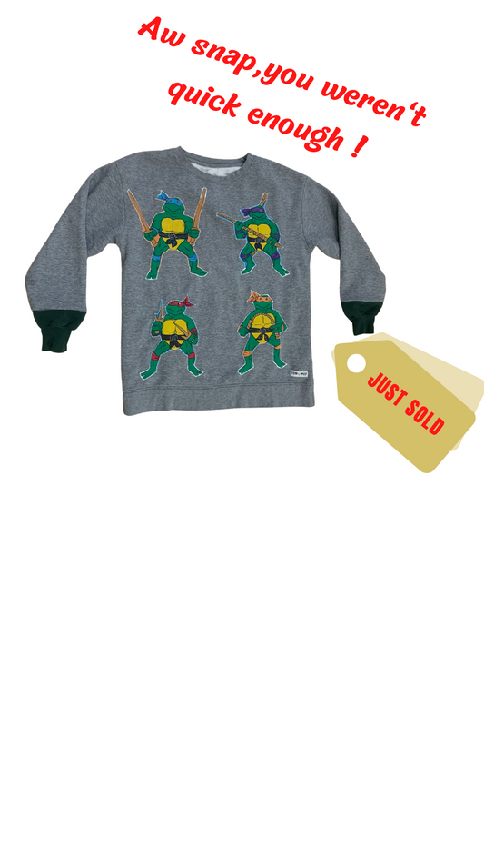 HEATHER GREY "NINJA TURTLES" PULL OVER