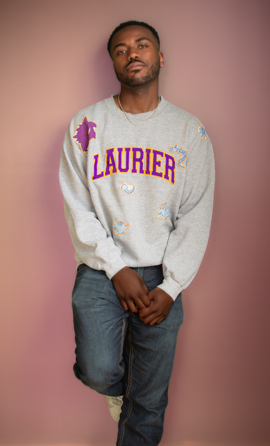 POKEMON LAURIER UNIVERSITY PULL OVER